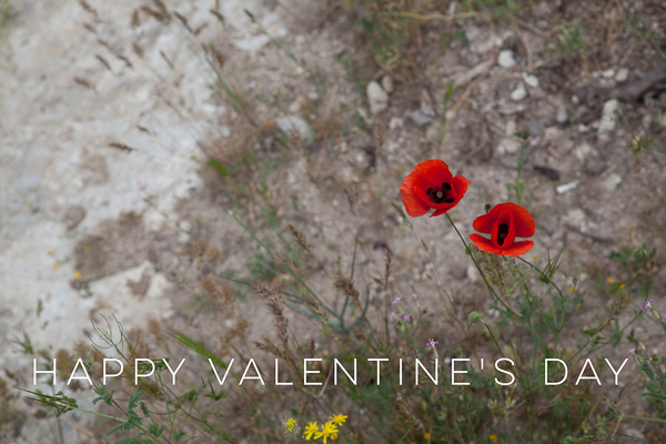 valentinesday16-1